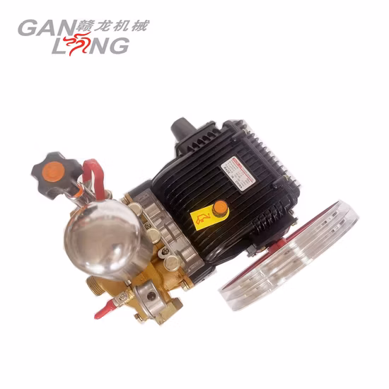 Agricultural 4 Stroke Gasoline Petrol Motor Engine Power Spray Sprayer Pump Pumps