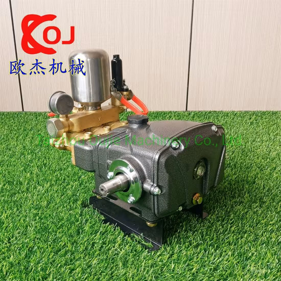 22/30bar Gasoline Plunger Pump for Power Sprayer High Pressure