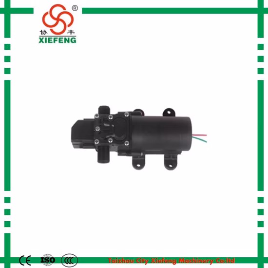 Seaflo Agricultural 5 Lpm Power Sprayer Irrigation Pump 12V
