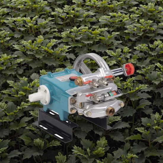 30model Power Sprayer Plunger Pump Heavy Duty Pump