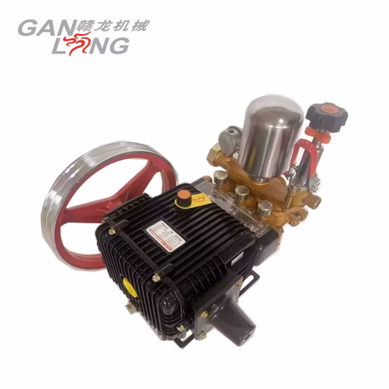 Portable Agricultural 4 Stroke Gasoline Petrol Motor Engine Power Sprayer Pump